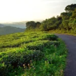 Kuttikanam Castle Resort