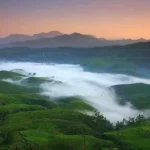 Kuttikanam Castle Resort