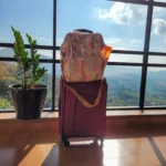 Rooms - Kuttikanam Castle Resort